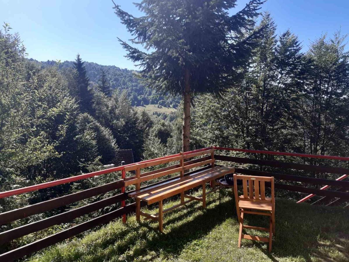 Holiday House Nesovic Kopaonik Esterno foto