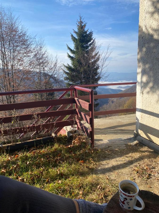 Holiday House Nesovic Kopaonik Esterno foto