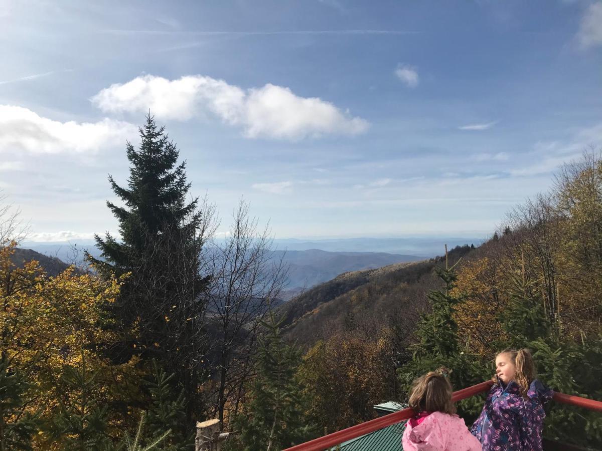 Holiday House Nesovic Kopaonik Esterno foto