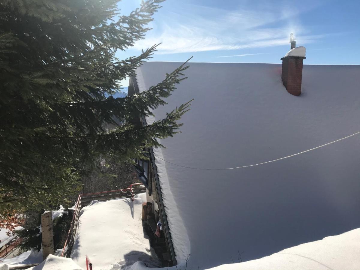 Holiday House Nesovic Kopaonik Esterno foto