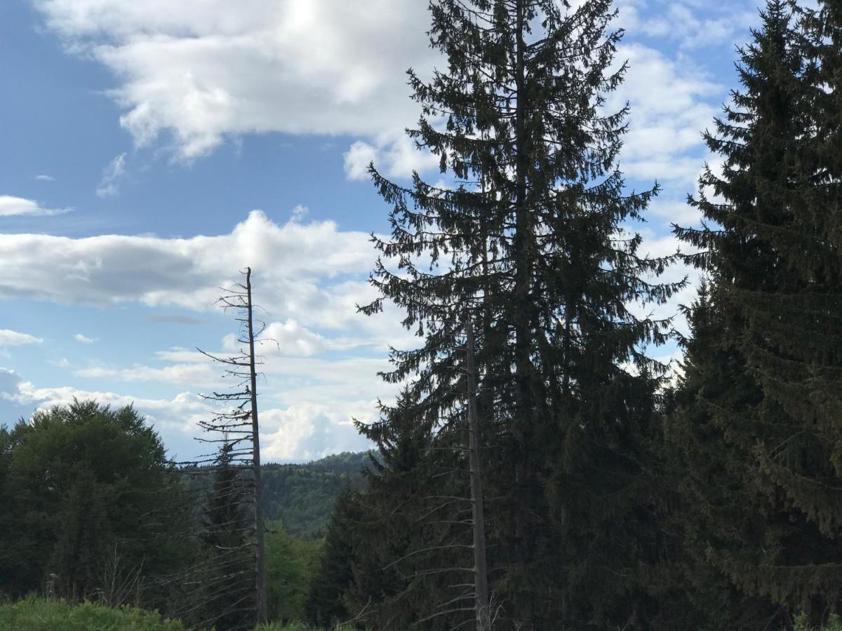 Holiday House Nesovic Kopaonik Esterno foto
