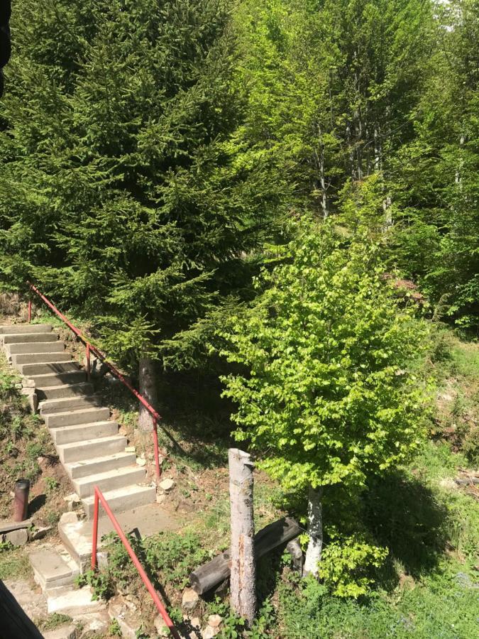 Holiday House Nesovic Kopaonik Esterno foto
