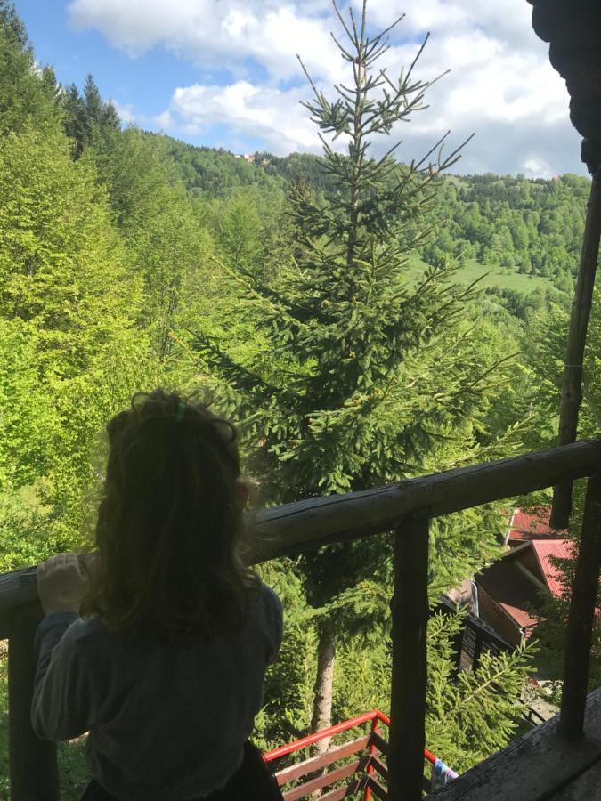 Holiday House Nesovic Kopaonik Esterno foto